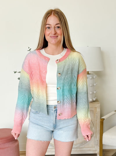 Front Button Closure Pointelle Knit Cardigan in Rainbow